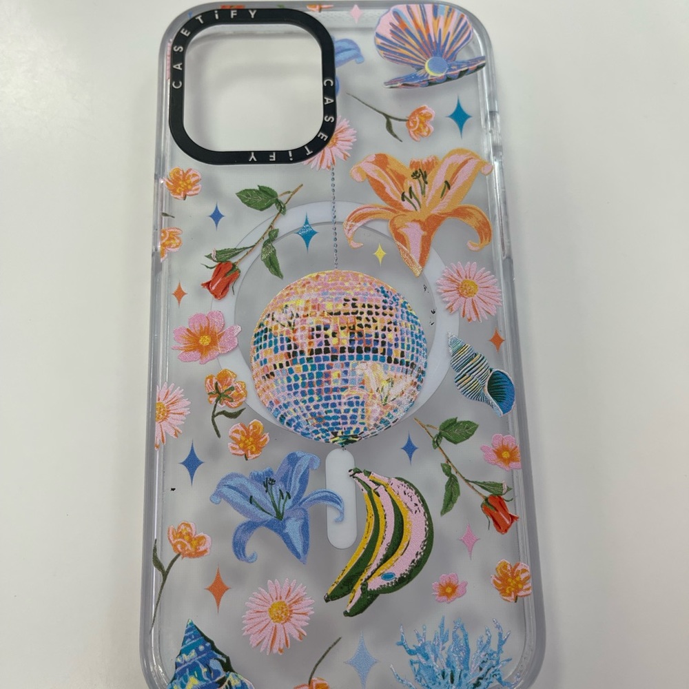 Casetify case 12pro max